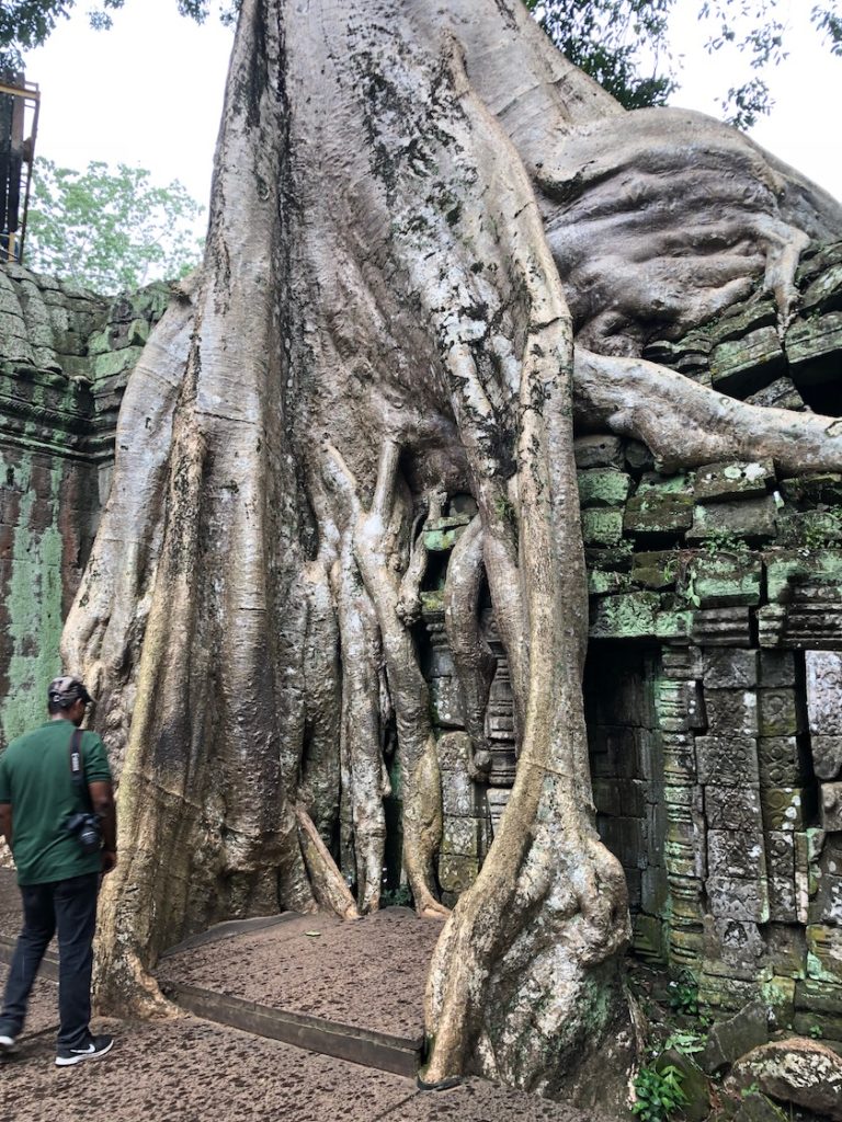 タプロームで木の根に覆われた遺跡を見学 タイ カンボジア28 コタローノートコタローノート