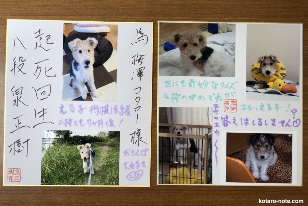 泉正樹八段の色紙
