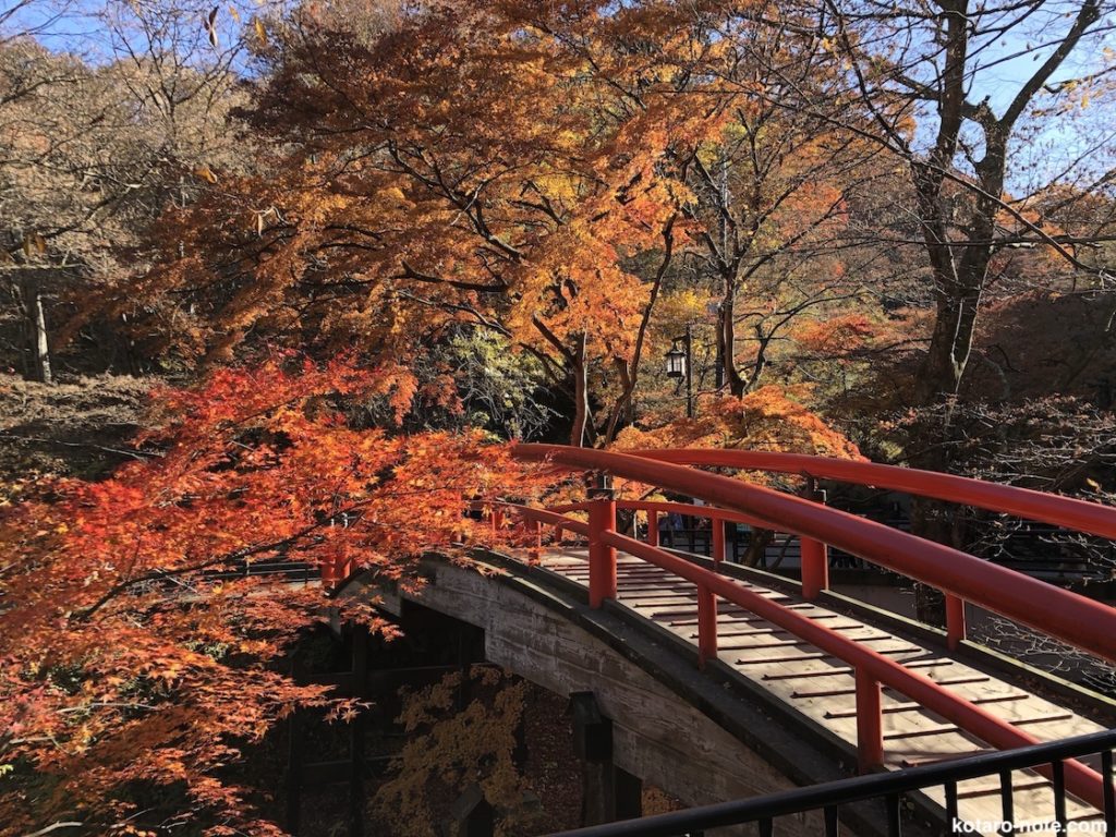 伊香保温泉の紅葉の河鹿橋